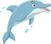 dolphin olm